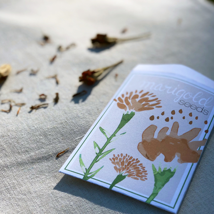 Crafting Joy: Design Your Own DIY Marigold Seed Packet for a Special Gift