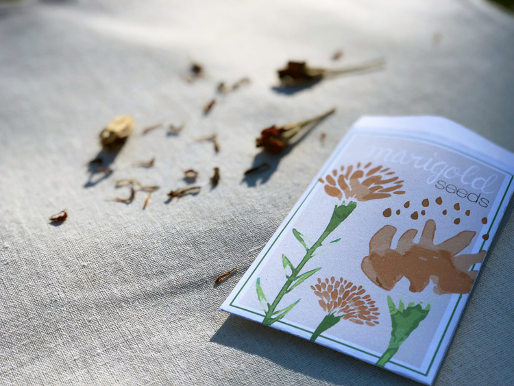 diy seed packet