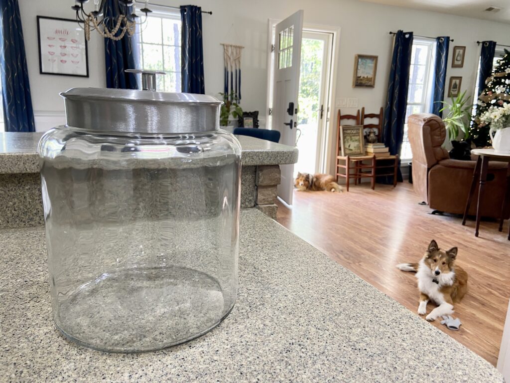 dog treat jar